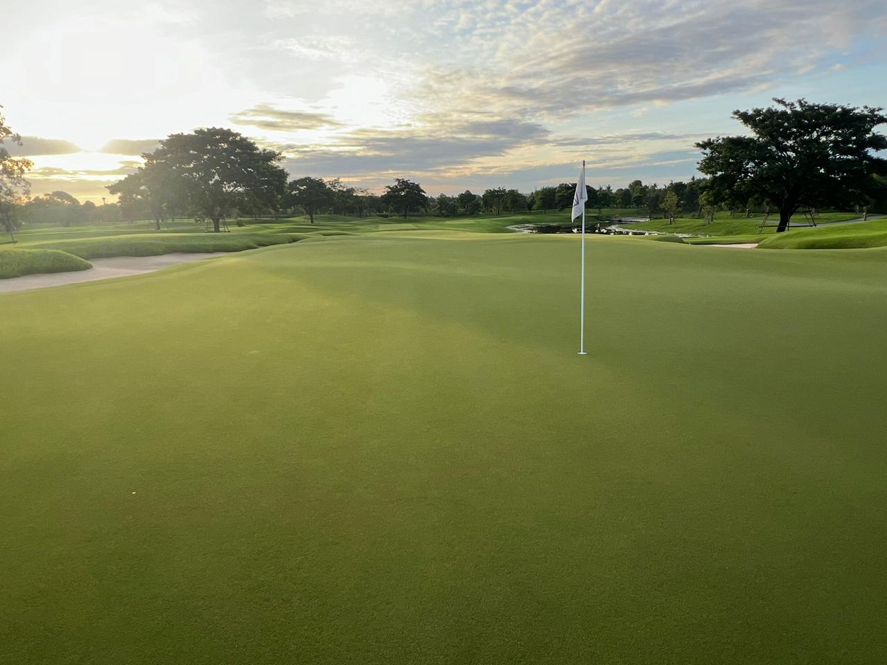 TifEagle Bermuda