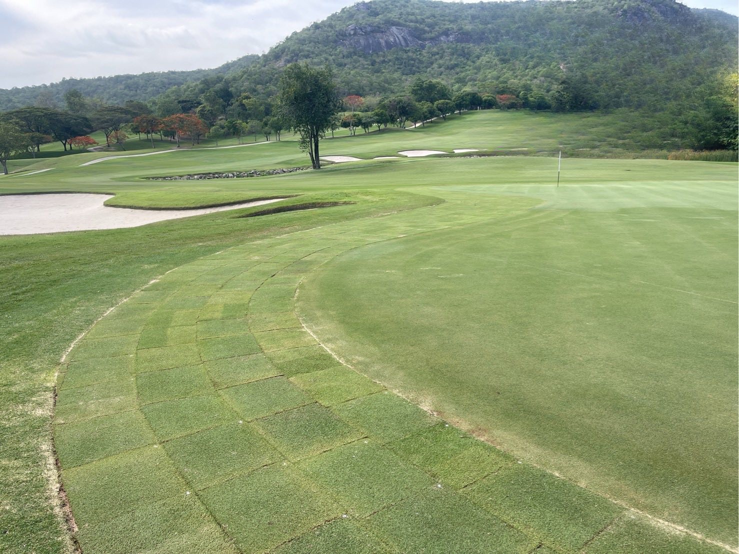 Black Mountain Golf Club