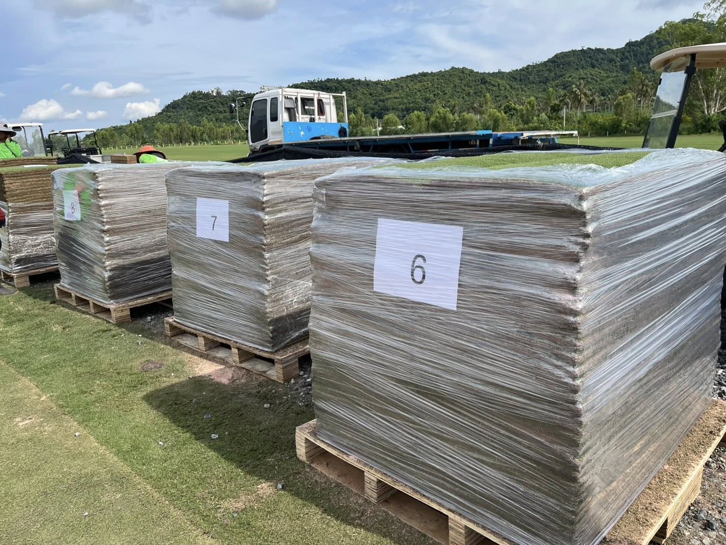 sod pallet